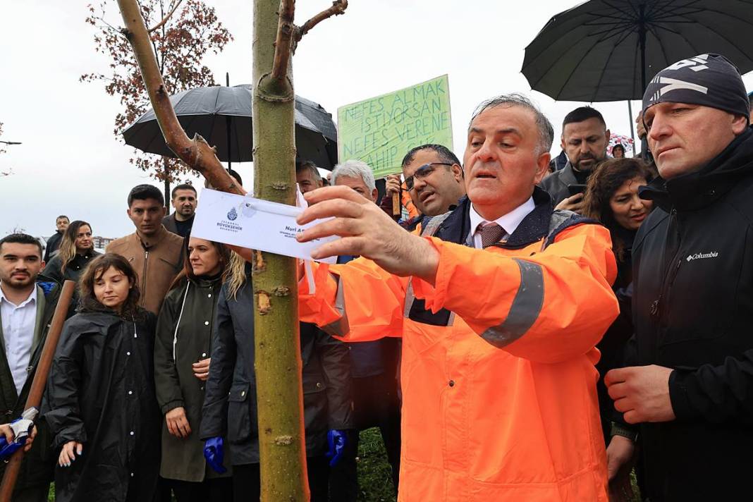 İstanbul'a 1111 'nefes' takviyesi yapıldı! Fıstık çamları ve zeytinler buluştu 3